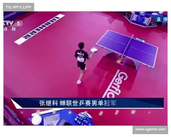 张继科比赛视频台湾解说