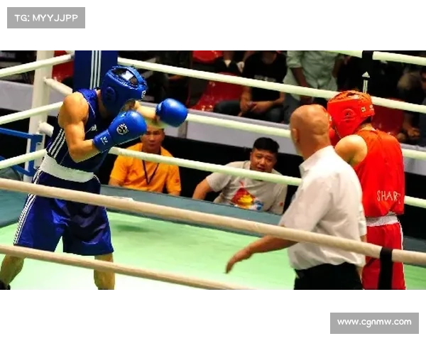 拳击 赛事分级_拳击比赛分级 拳击 赛事分级_拳击比赛分级