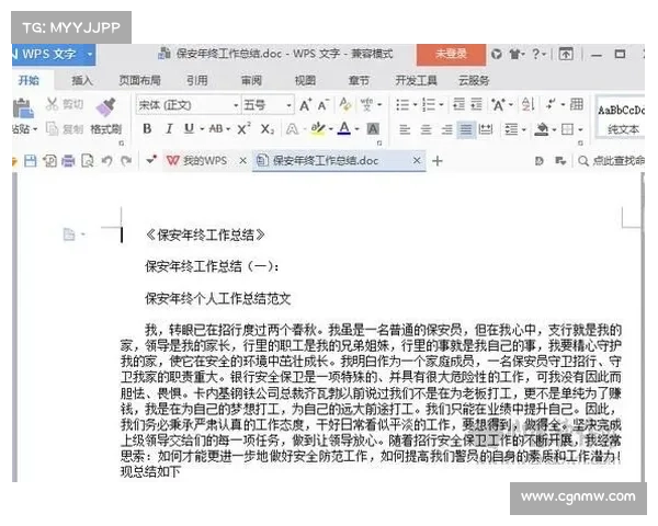 赛事安保报告模板